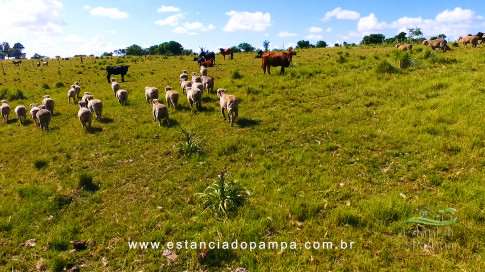 Gilberto Monteiro - Pra ti guria [VDownloader].00_00_28_15.Quadro005_af10166300ea1dd0300e54b0b461f1395264bbca.jpg